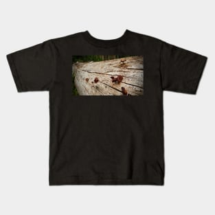 Little Mushrooms On Fallen Tree Kids T-Shirt